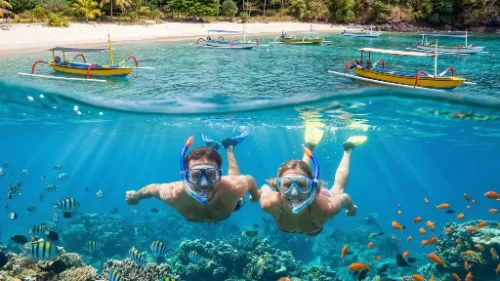 Diving & Snorkeling Tickets