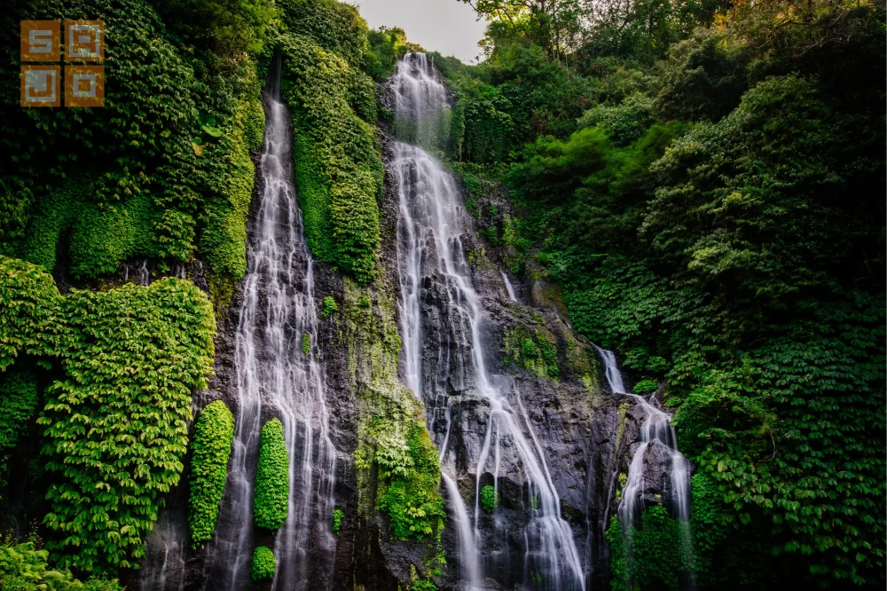 sekumpul waterfall ticket